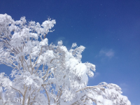 雪道